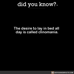 did-you-kno:  The desire to lay in bed all  day is called clinomania.  Source Source 2