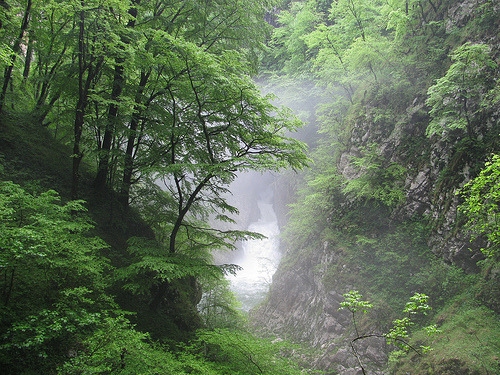 okmoonkid:  River leaving the Škocjan Caves, Slovenia by sblinn on Flickr