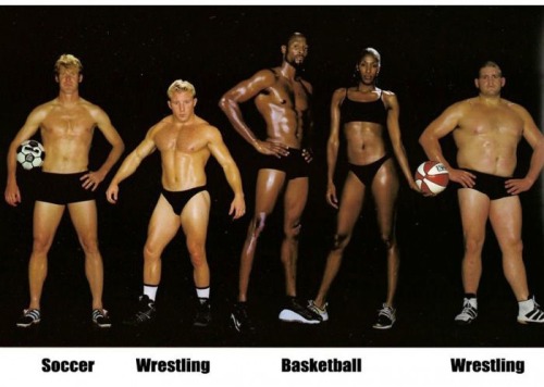 emt-monster:  Different body types for different sports.Source: Ebaums World
