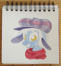 asktoolaroola:  Another little watercolor doodle, this one for @ask-the-little-misfit-filly! Stay warm out there!   ^w^