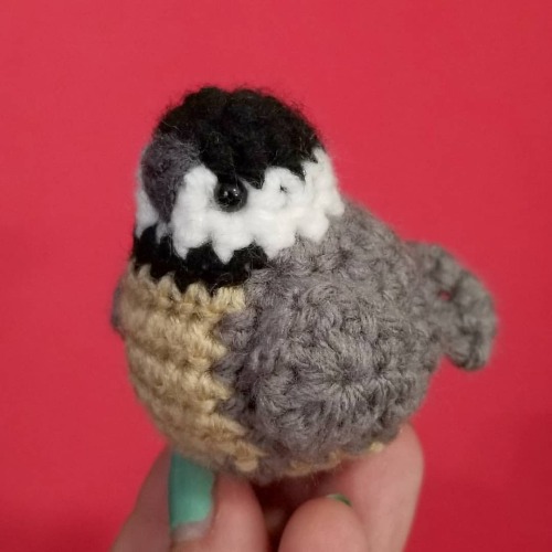 Chickadees are fascinating little birds. Did you know they can make at least 15 different vocalizati