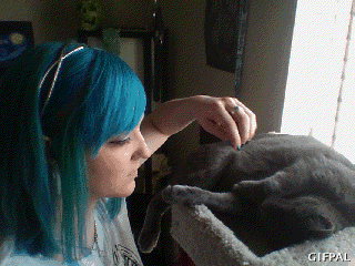 toastee227:  Was bored and made some gifs for my other blog. here are some of the