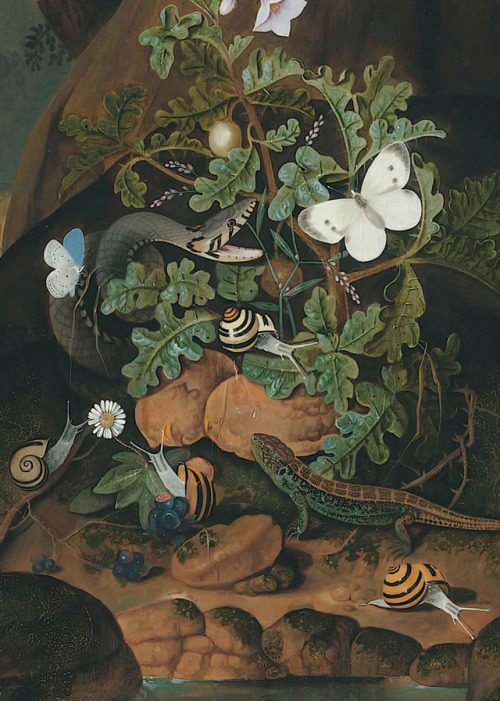clawmarks:Johann Falch - Forest floor with a snake, lizard, butterflies, and snails amongst weeds on