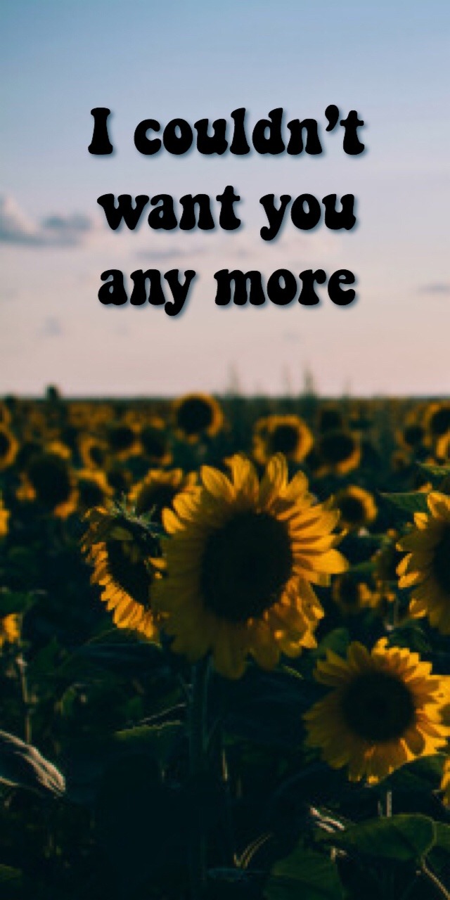 sunflower vol 6 on Tumblr