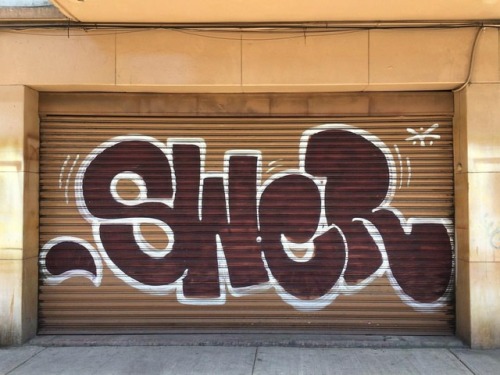 SWER #swer #graffiti #graffitibombing #street #activelifestyle #streetactivelifestyle #streetal #sig