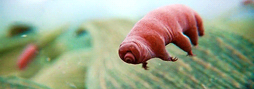 yesknopemaybe:  Cosmos: A Spacetime Odyssey - Part 2 