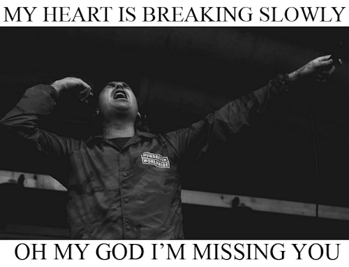 nxkdeep:oh my god im missing you //    the amity affliction   