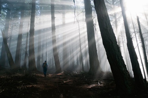 patagonia:  Morning hike in the Chuckanuts.  Photo by Eric Mickelson.