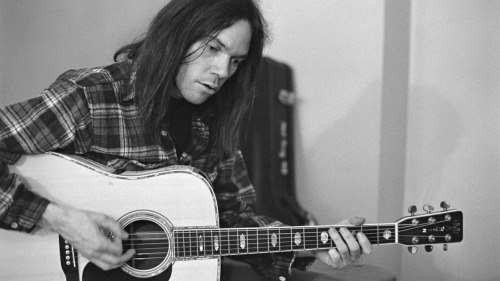 catwithouteyes: Happy birthday Neil Young <3 