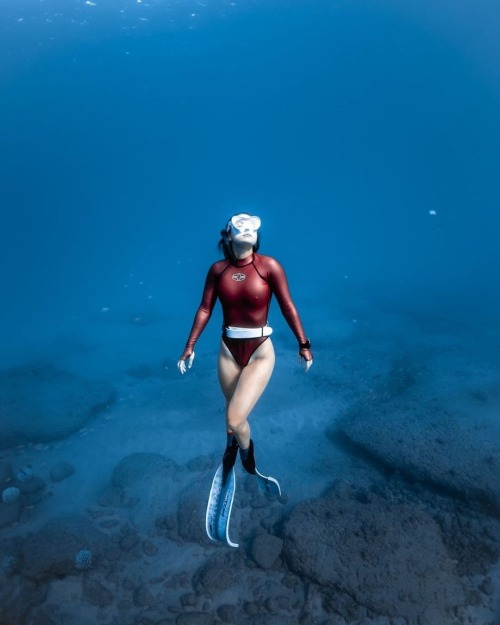 spearfishing-freediving-world: Stunning Reposted from @cassimanner Time, you can’t get it back, but 