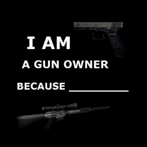 thenerdyredneck: cobra-23: gunrights4ever: Why are you a gun owner??? Because I can be. because I do