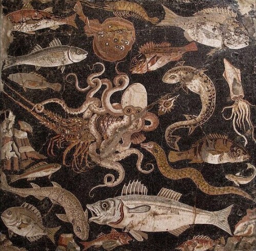 lifeonsundays: Mosaic, Pompeii