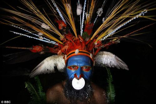 Papua New Guinea tribesman in a traditional headdress