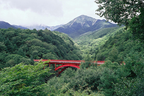 japanlove:  Rollei35_Fuji160c_Kiyosato - porn pictures