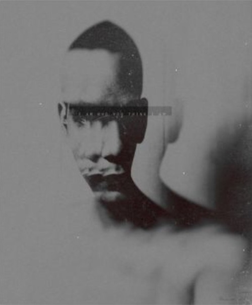 pentauroi:  MWeiss-Art