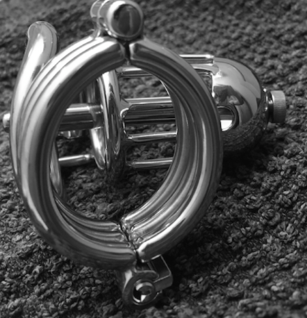 Chastity Device