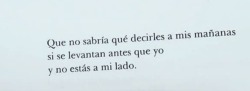 La curiosidad mató al gato