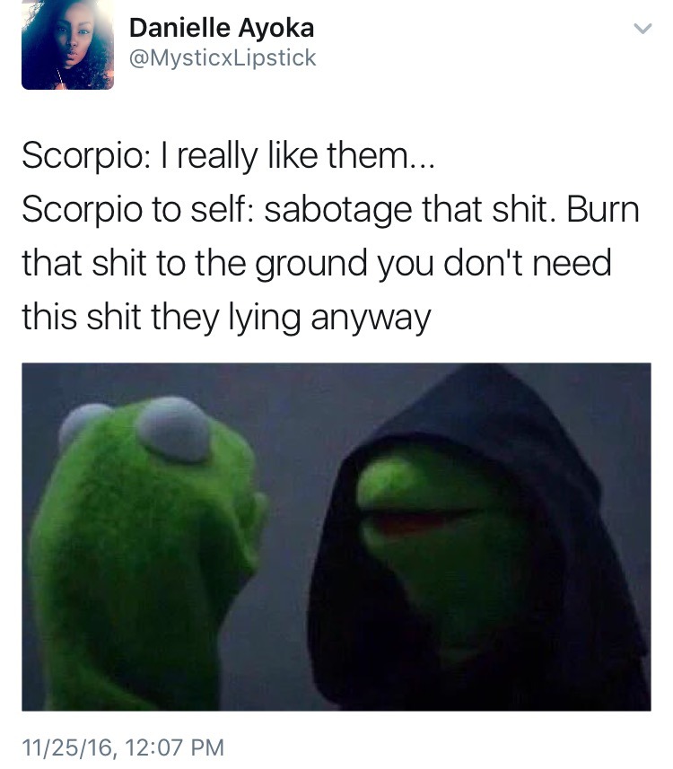 weavemama: “THE SIGNS AS THE NEW KERMIT MEME ”