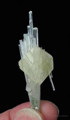 ifuckingloveminerals:  Powellite, Apophyllite.