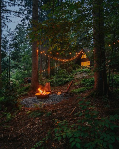 wild-cabins:    Christopher Funk  