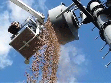 sizvideos:  Microwave antenna was filled with acorns. Woodpeckers were using it as