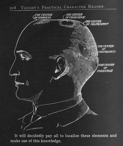 chaosophia218:  L.A. Vaught - Phrenology adult photos