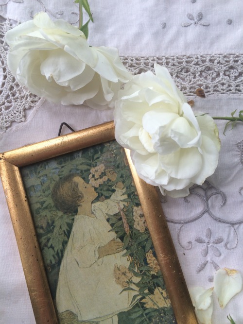 day-and-moonlightdreaming:  The last roses in my garden…