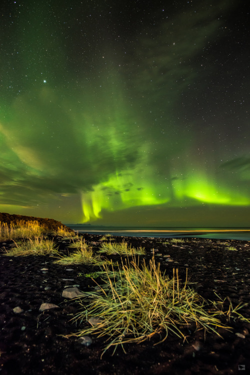 90377:west fjords northern lights by Andy Lehner