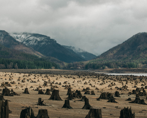 eopederson2: burtoo:January - Brendon Burton PNW