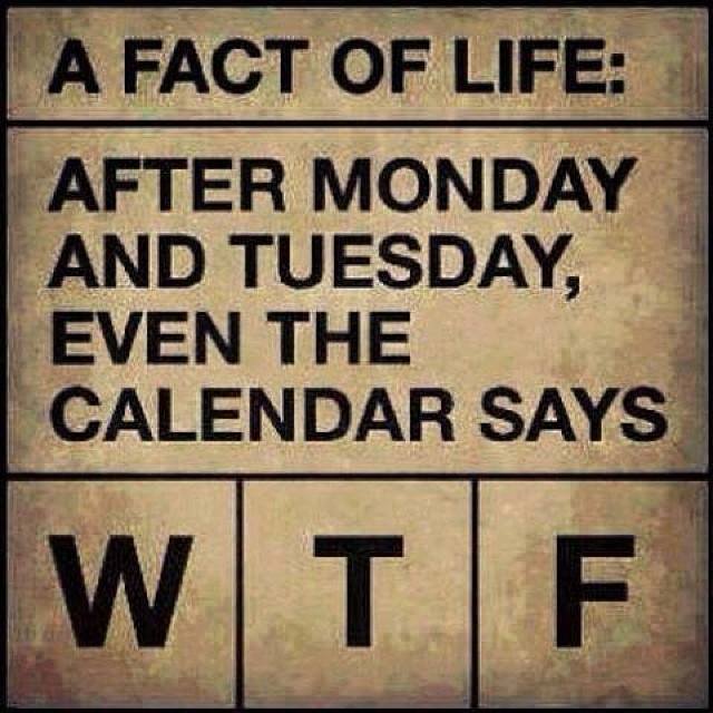 funnyand:  A fact of Life: A fact of Life: After Monday and Tuesday, even the calendar