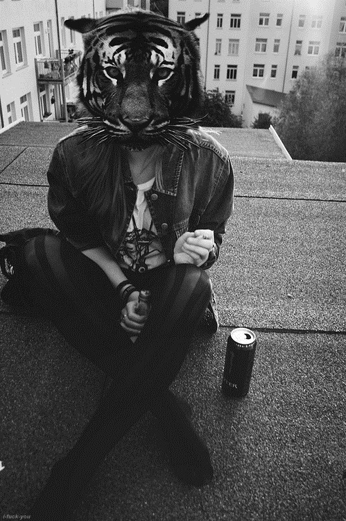 •HF•®