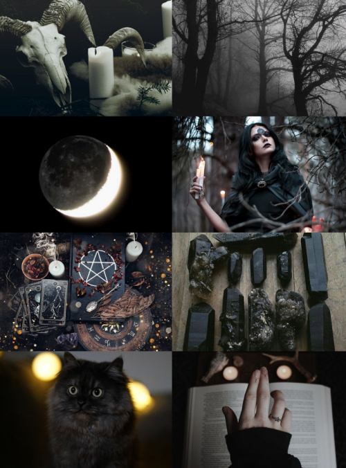 Color Witch Aesthetics // Black WitchRequestedBlue | Gray | Purple | White | Red | Green | Pink | Or