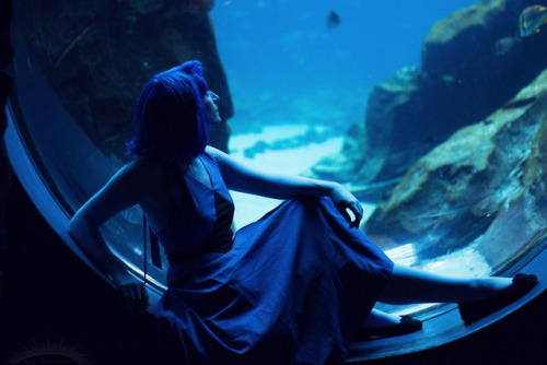 Lapis at the Georgia Aquarium. Photos by uv photography