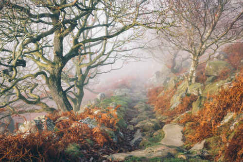 te5seract:Lost in Autumn VI,Twisted Tales &amp;Fairytale PathbyJames MillsAutumn in the Old
