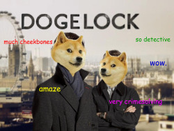 onceuponadoge:  Benedoge Cumberbatch and Martin Freedoge much sherlock very cumberbatch so moffat wow amaze 