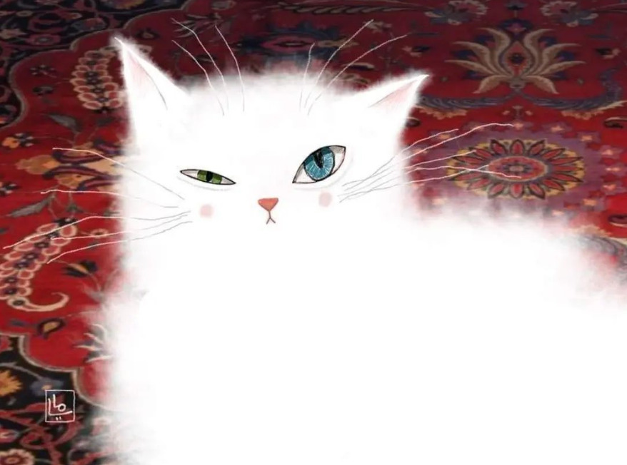 simena:Maya Fidawi - Miaow