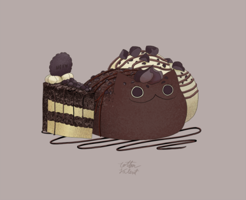 meawbin: Chocolate cake, white chocolate cake, brownie cake, and mocha cake I’m choco addictInstagra