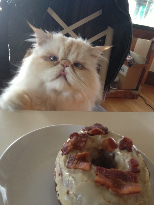 lucifurfluffypants:Two words: Bacon Donut. 