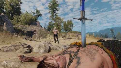 The Witcher 3