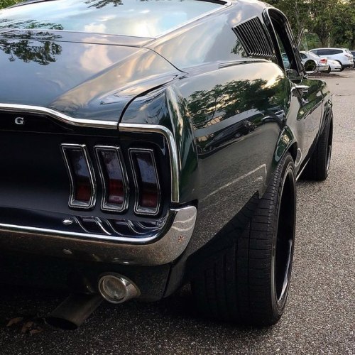 musclefords:#ford#Mustang#SVT#Shelby #AmericanMuscle #igfords tag #American_muscle_mustangs@67_monst