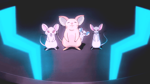 kallurameintrigued:Allura and her mice being adorable 