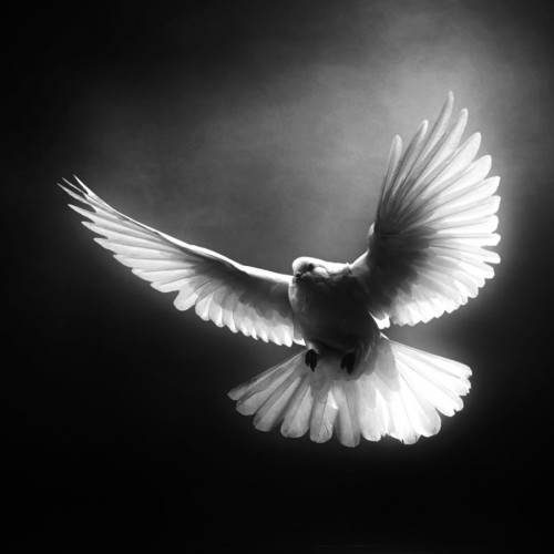 morethanphotography:  Level One by DigitalArtPhotography 