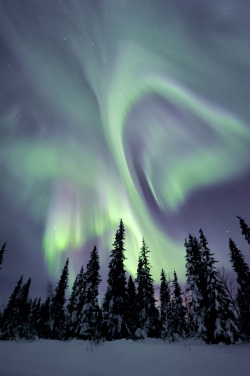 brutalgeneration:  Aurora Sweden (by Arjan