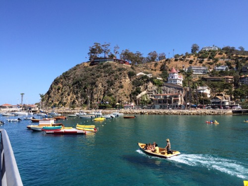 Catalina Island