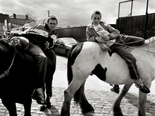 joeinct:Dublin Horse Market, Photo by Liam Blakegang
