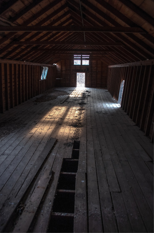 Clutter FreeLate-winter sunlight in a decaying farm building.