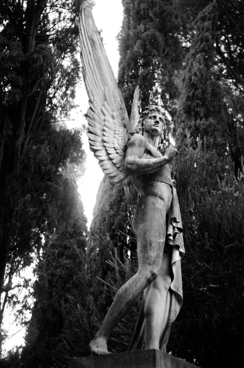 stephaniesaujon:Cimitero Acattolico of Rome, Cimitero dei Protestanti, or Cimitero degli InglesiPart