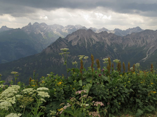 90377: Allgäu Alps by Anikó Erlinger Battyányi