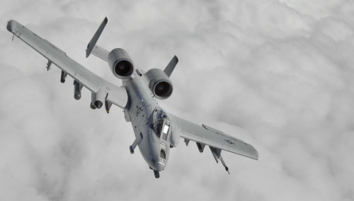 rocketumbl:  OA/A-10 