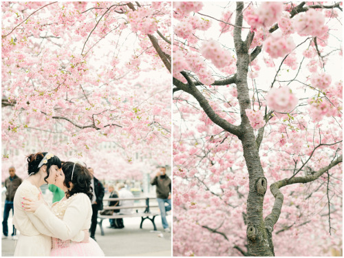 cat-panties:  callmekitto:  themarsvulva:  zitadevi:  Oh my god lesbian weddings always make me crryyy!!! This one is so cute I’m going to die!!!  i’m going to sob wow this is the cutest   THEY COLOR COORDINATED WITH NATURE HOW CUTE IS THAT  This